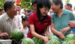 瓜农上线免费吃瓜,夏日炎炎共享清凉盛宴