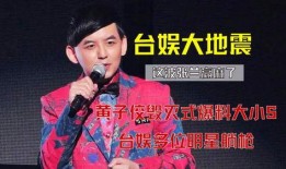 黄子佼毁灭式爆料全视频,毁灭式爆料背后的真相与影响